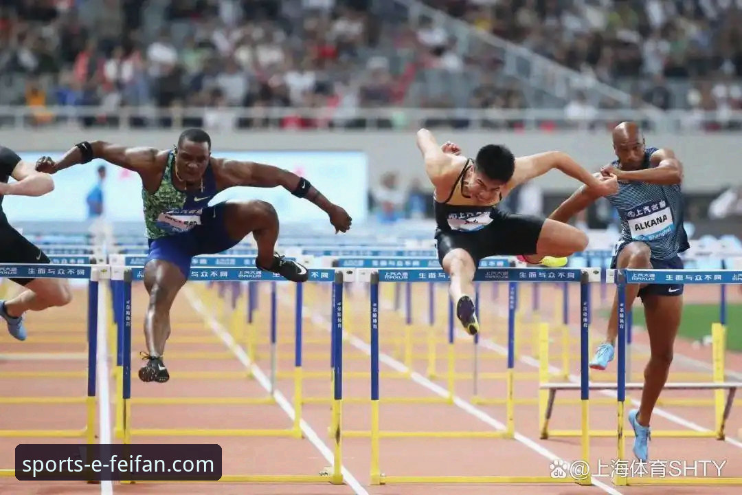 非凡体育平台服务特色深度解析与高效使用教程