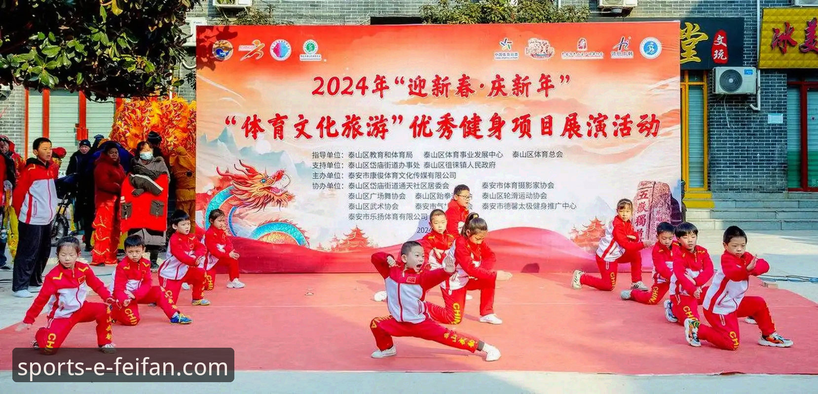 非凡体育平台合作伙伴功能深度解析与使用教程